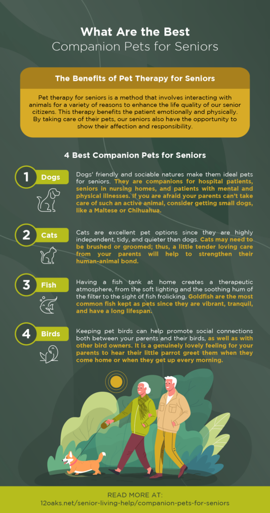 12O_What Are the Best Companion Pets for Seniors INFOG-min