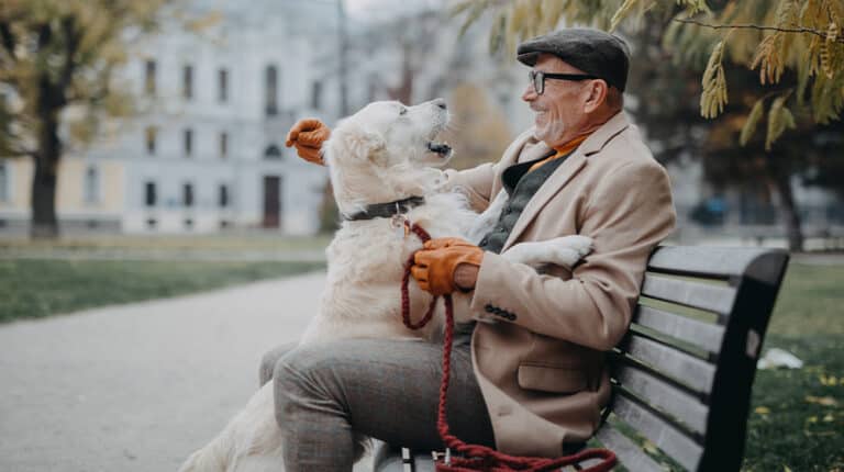 12Oaks-Happy senior man sitting on bench and resting during dog walk outdoors in city.-ss-What Are the Best Companion Pets for Seniors
