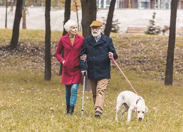 12Oaks-senior couple walking with labrador retriever dog in autumn park-ss-The Benefits of Pet Therapy for Seniors