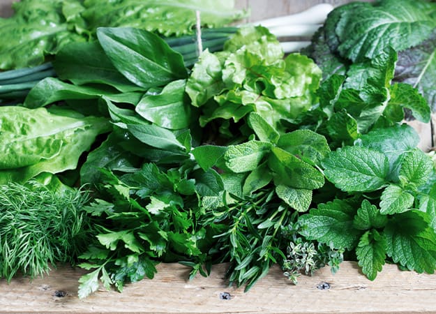12Oaks-A variety of herbs, salad and green onions on a wooden background-ss-6.Leafy green vegetables