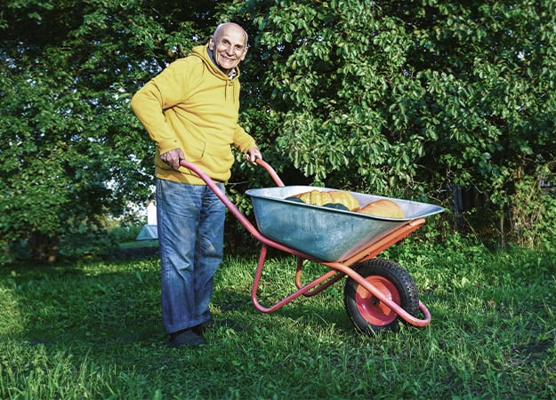 12Oaks-Elderly male pensioner rides steel cart with fresh pumpkins harvest in garden at autumn season-ss-5. Gardening Increases Mobility