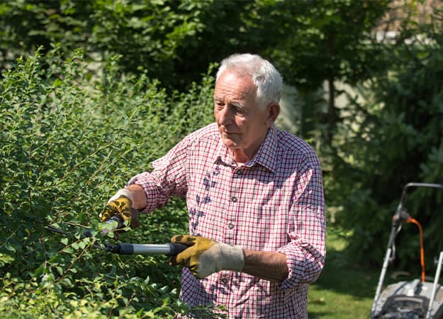 12Oaks-Senior man working in garden, trimming hedge with scissors-ss-2. Gardening Boosts Immunity