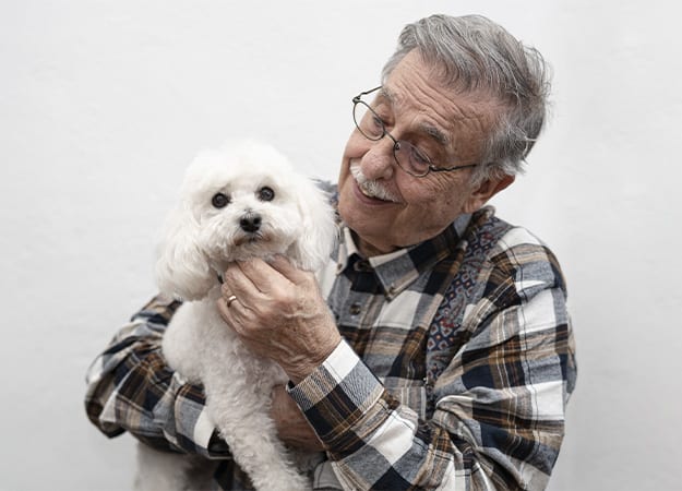 12Oaks-Portrait of smiling caucasian senior man age 75-80 with white poodle dog-ss-2. Poodle