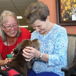 legacy ranch pet therapy dog