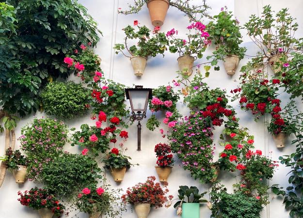 12Oaks-Plants-on-the-wall-pxls-6-Construct-a-Vertical-Garden