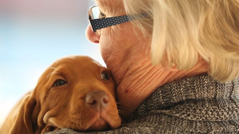 12Oaks-Senior woman holding small puppy-cnv-The Role of Pets in Reducing Senior Loneliness-More Than Just Companionship-Feature
