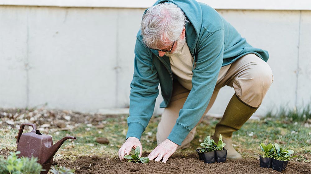 An-Elderly-Man-Planting-in-a-Soil-Benefits-of-Rediscovering-Old-Hobbies-in-the-Golden-Years
