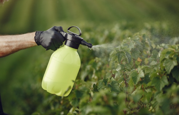 Senior-hand-spraying-vegetables-in-the-garden-Tips_7-Use-Organic-Pest-Control