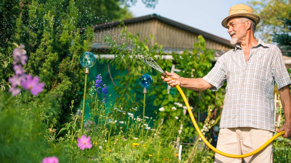 Senior-man-watering-the-garden-The-Senior-s-Guide-to-Urban-Gardening-Growing-Green-in-Small-Spaces