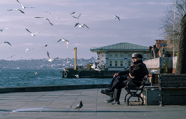 Elderly-people-sitting-on-embankment-Bird-Watching-for-Seniors-Renew-A-Sense-of-Place