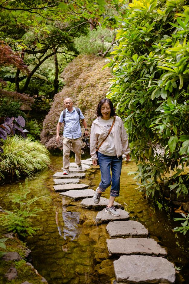 People Walking on Stepping Stones in a Botanic Garden | benefits of walking for seniors px
