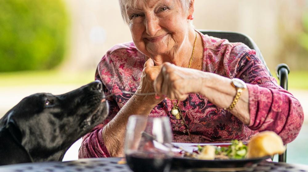 Easy Low Sodium Meals For Seniors Recipes Tips For Healthy Eating