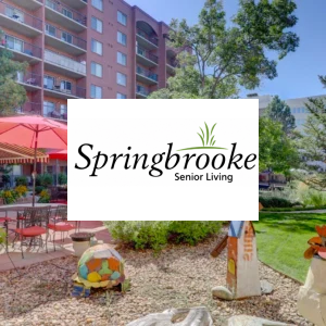 springbrook feature 2